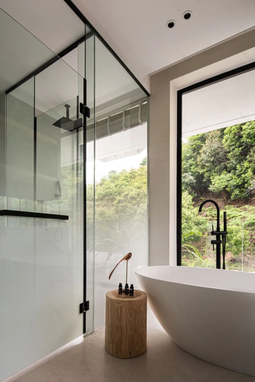 莫干山秘境杉林,尽享自然之美-94