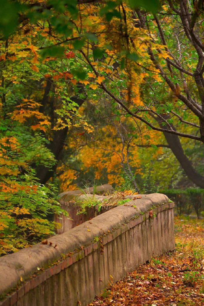 山居艺术 | 云间桃树,泉鸣林深-57
