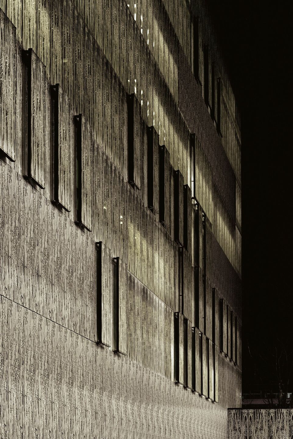 乌得勒支大学图书馆-38