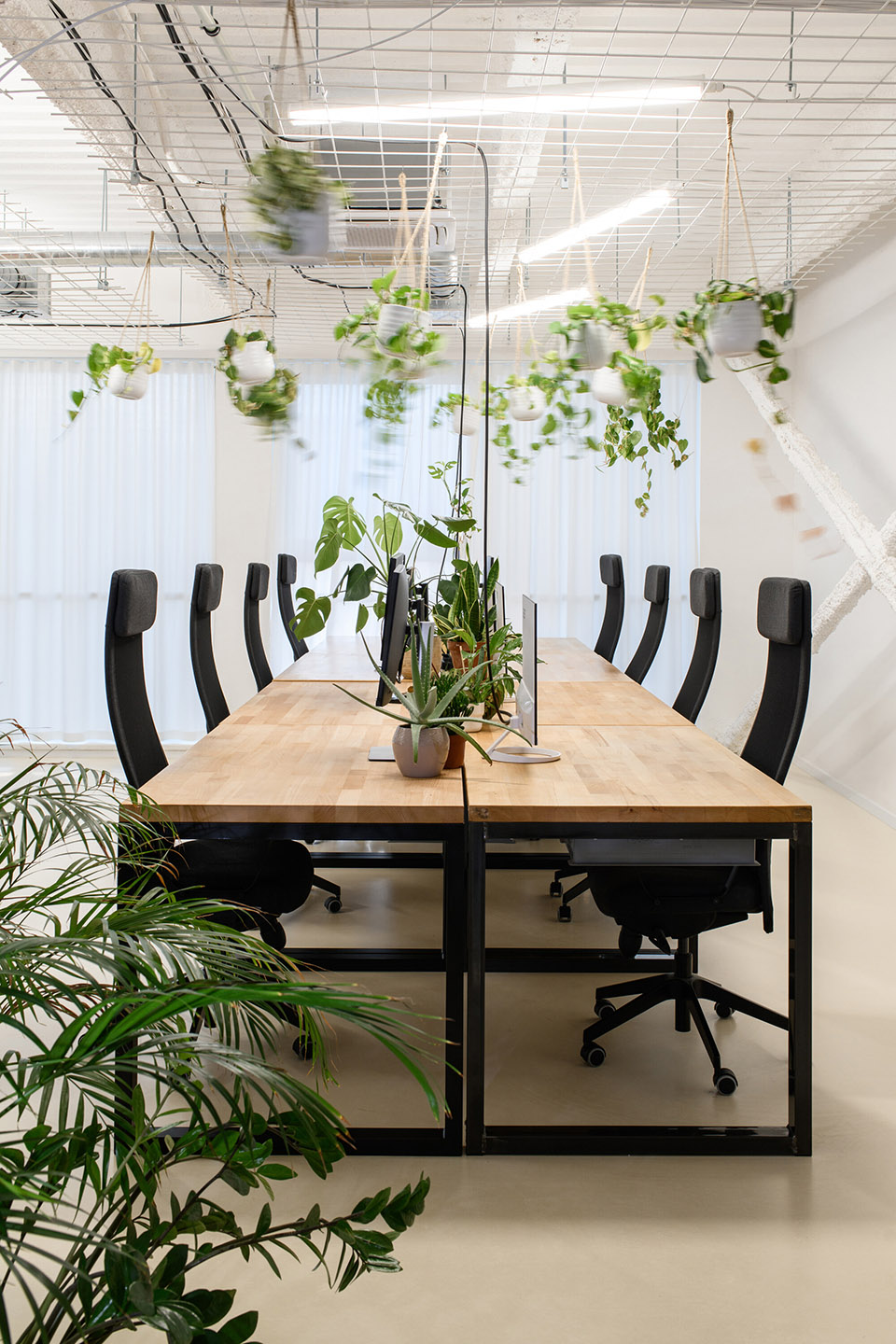 Czech Promotion 办公室改造丨捷克丨KURZ architects-26