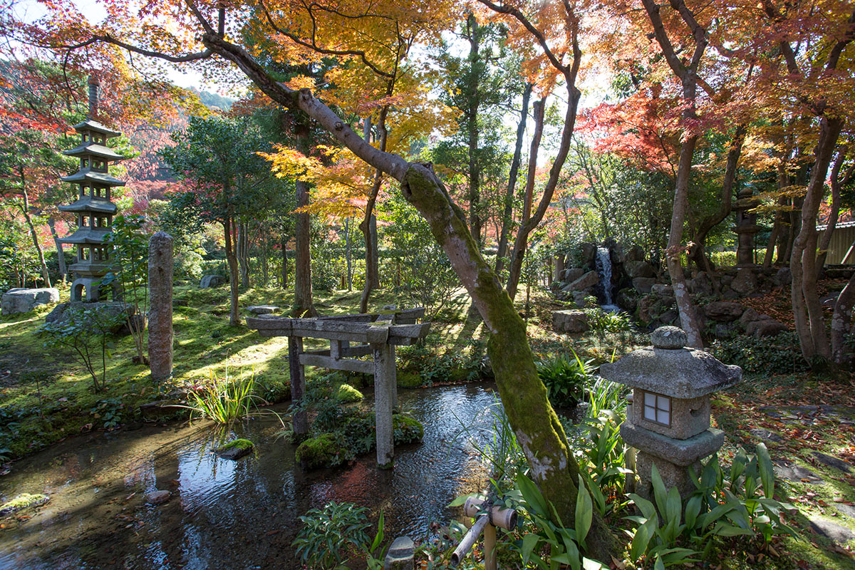 旧时气韵，现代延承 | 植彌加藤-72