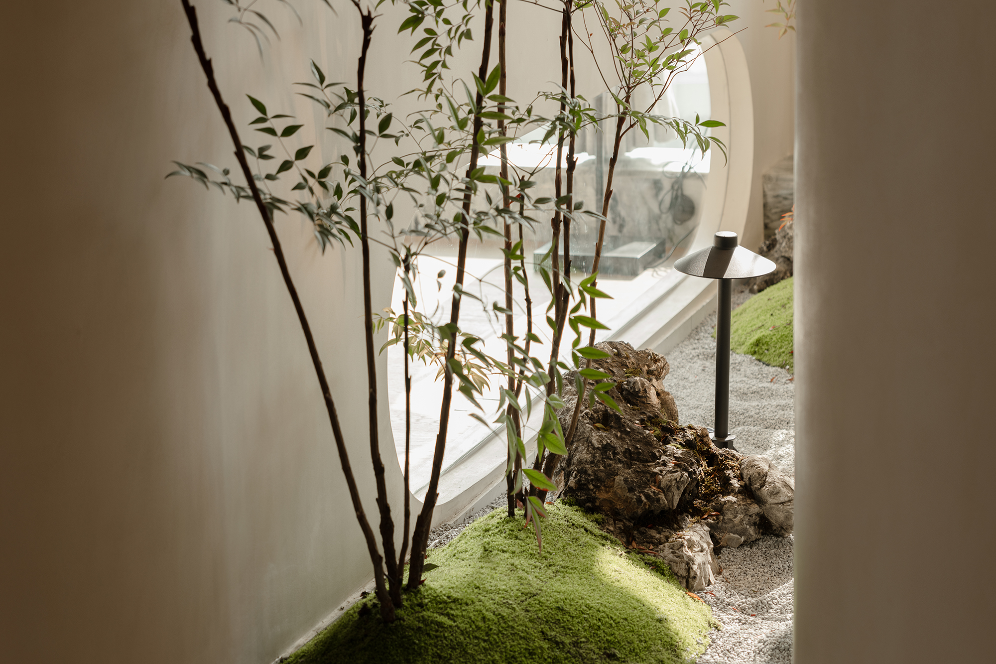 直齿牙科丨WEDO DESIGN-18