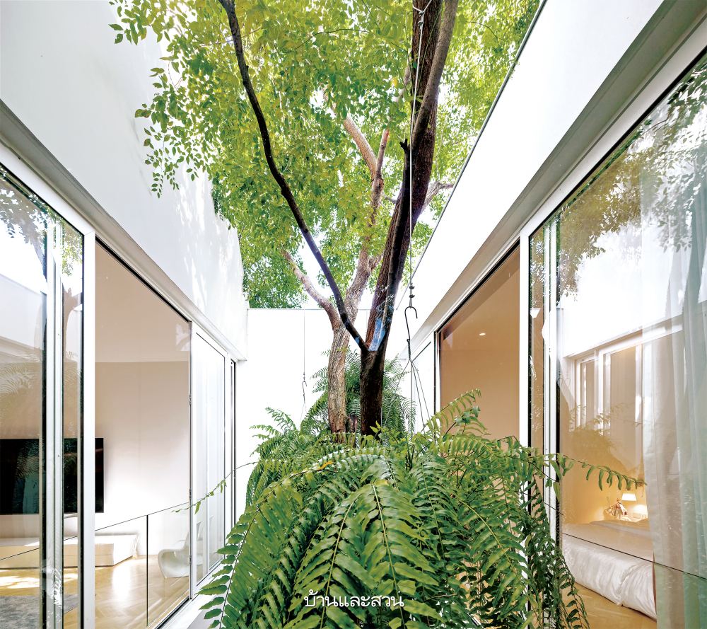 บ้านกล่องหลังคาทรงจั่ว ที่เปิดคอร์ตกลางรับพื้นที่สีเขียว - บ้านและสวน-9