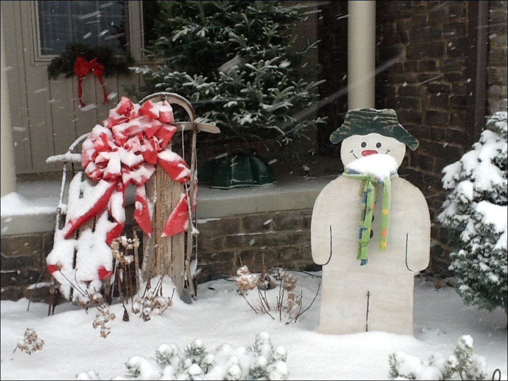 Annette家的圣诞节室内布置丨美国俄亥俄-3