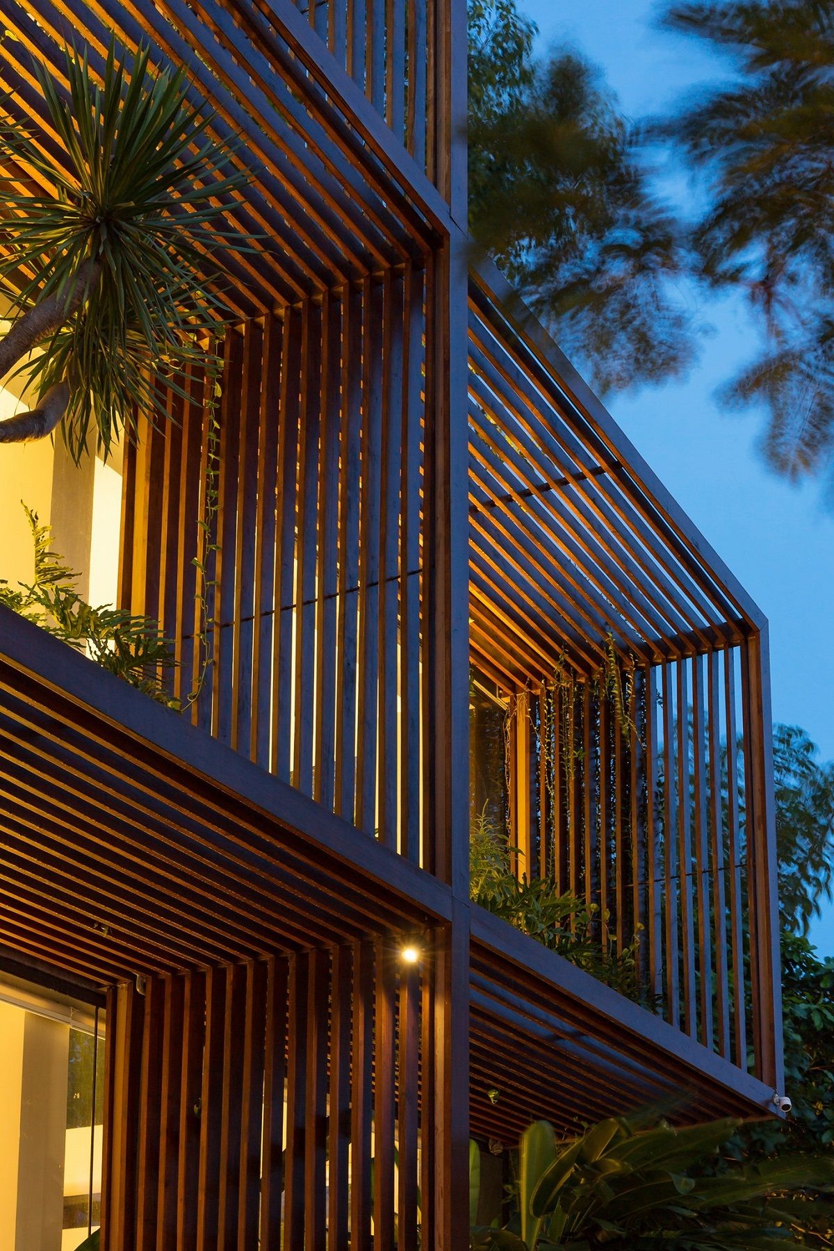 托尼水果办公室-37