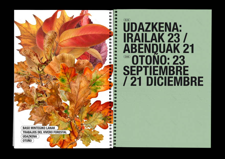 BOSQUE AUTÓCTONO 实地指南-19