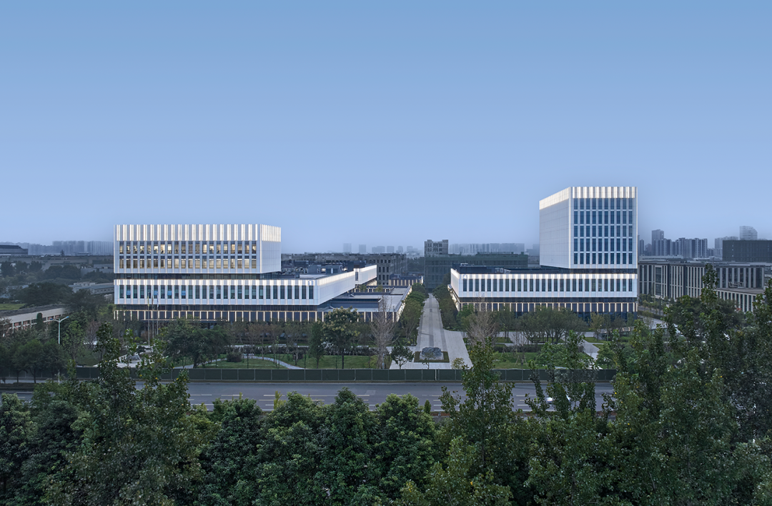 金奖|“世界柔谷”,崛起-34