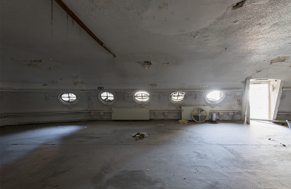 Aegidium修复项目-15