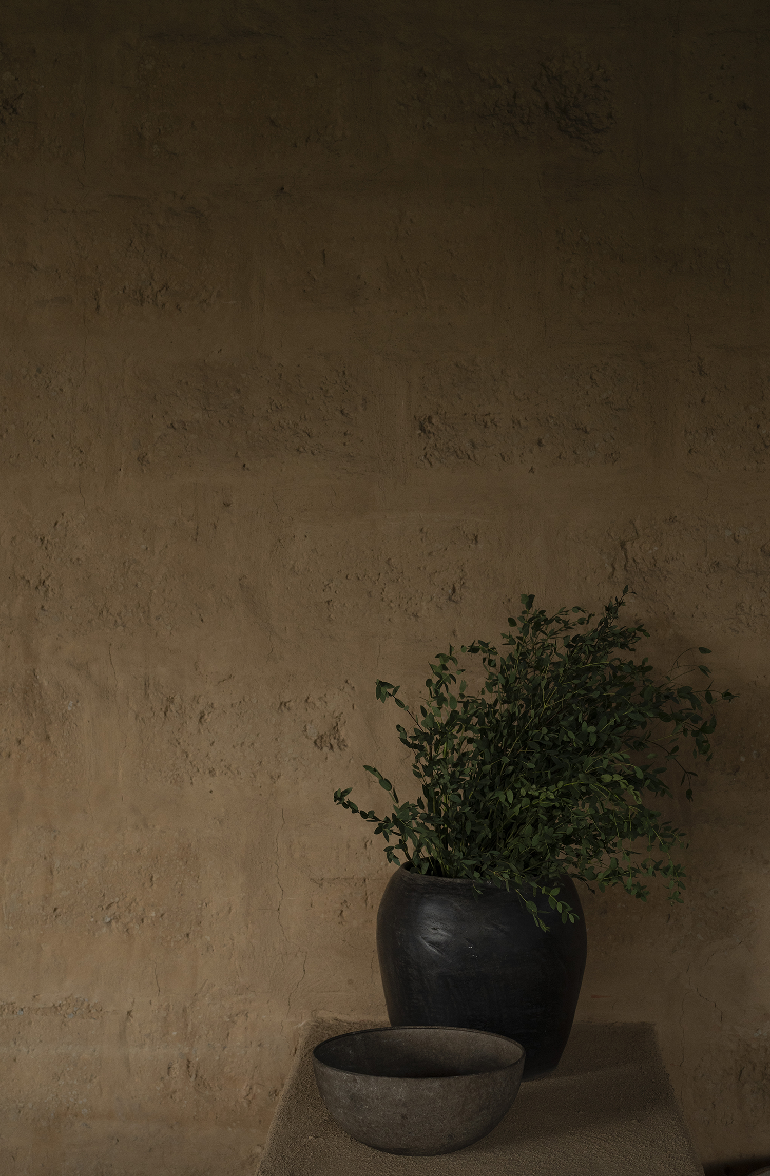 埃尔埃斯皮诺别墅景观丨墨西哥丨Dirección 设计工作室-69