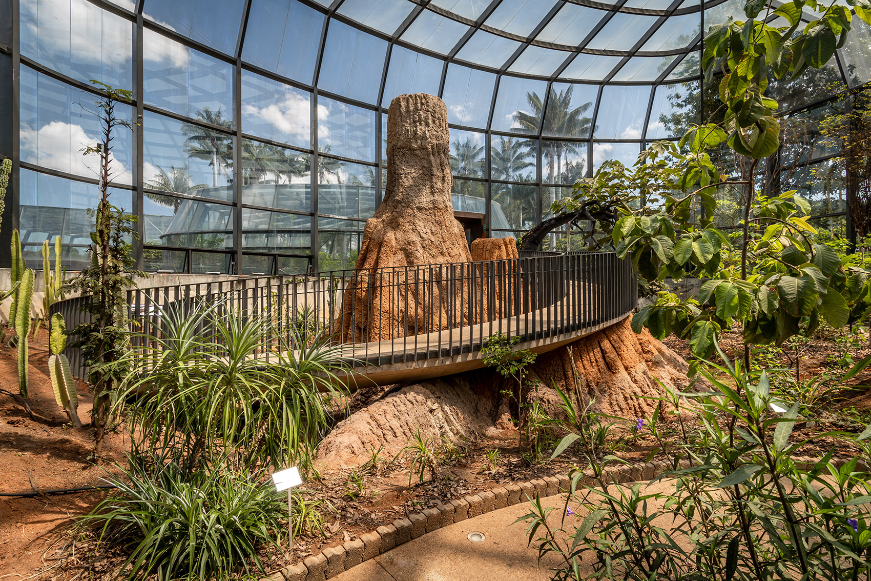 圣菲波哥大热带植物园丨哥伦比亚丨DARP-41