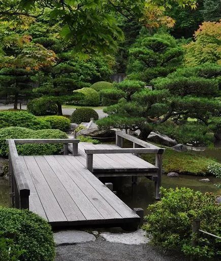 夏日庭院水景设计 | 营造清凉的休闲空间-105