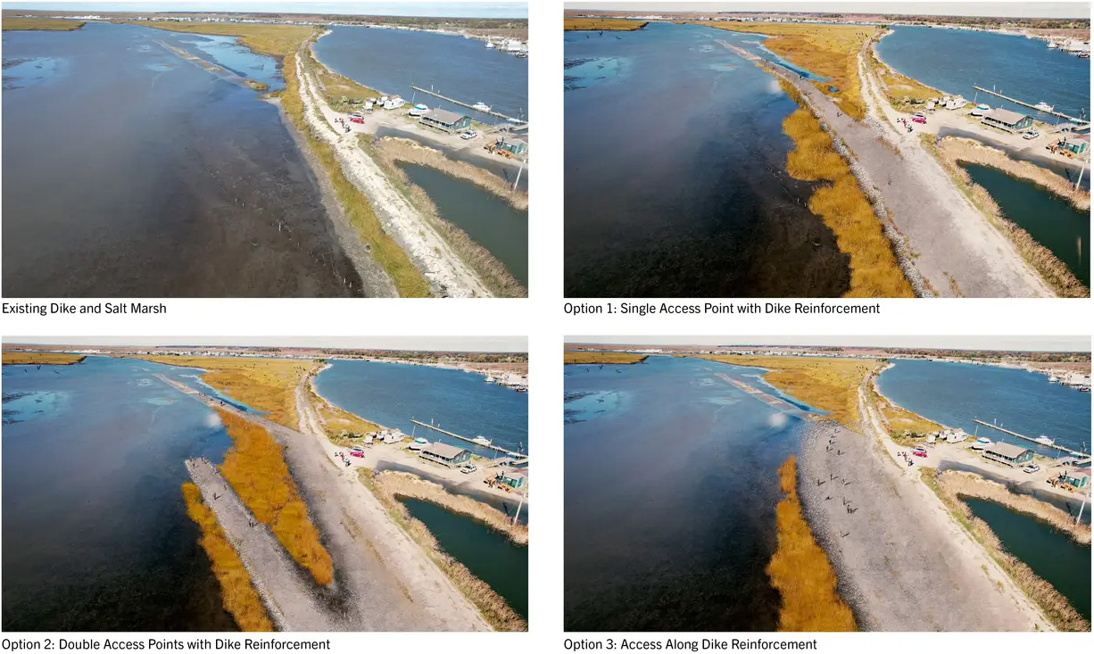 关乎时间:滨海盐沼的适应性管理丨美国新泽西-32