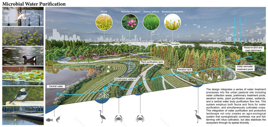 链接时间与空间的流动边界:昆山杜克大学14年生态景观设计丨中国江苏丨Futurepolis未来都市-42