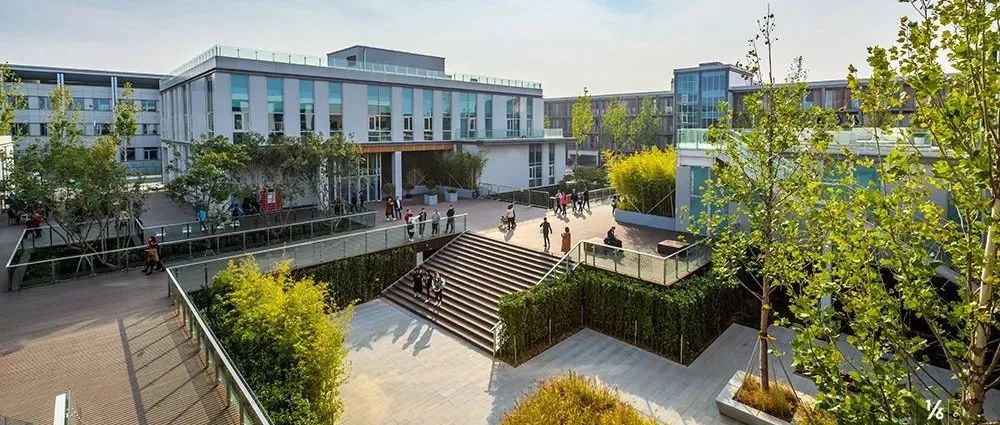 谷歌启用纽约哈德逊总部：里面有60个“社区”-234