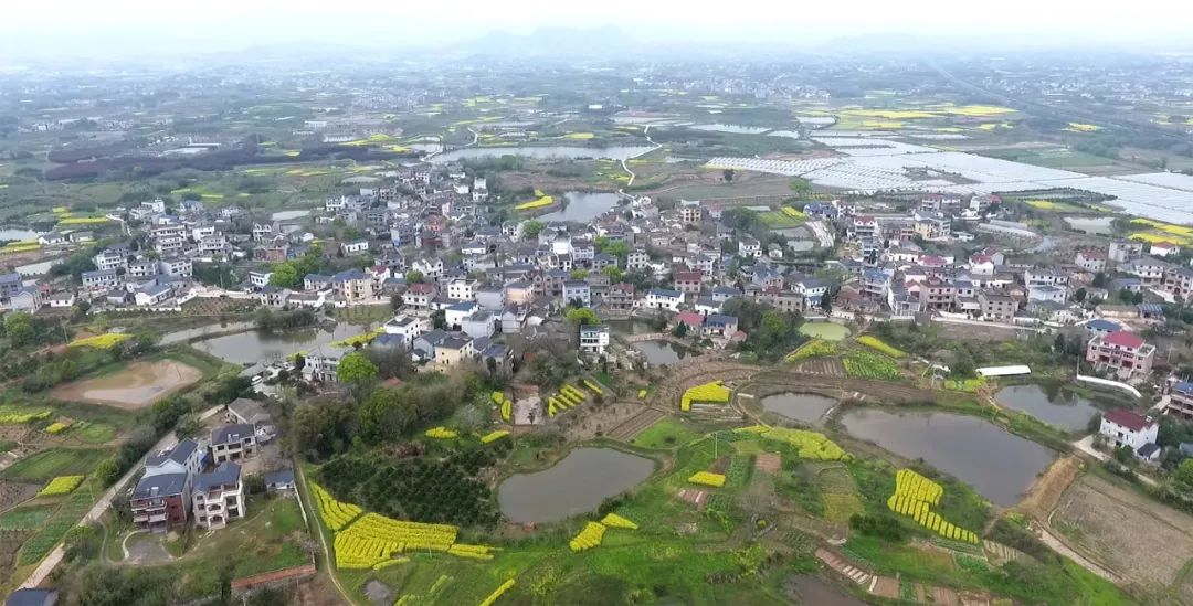 儒学书香村 · 鸿陆夏村的美丽宜居规划-1