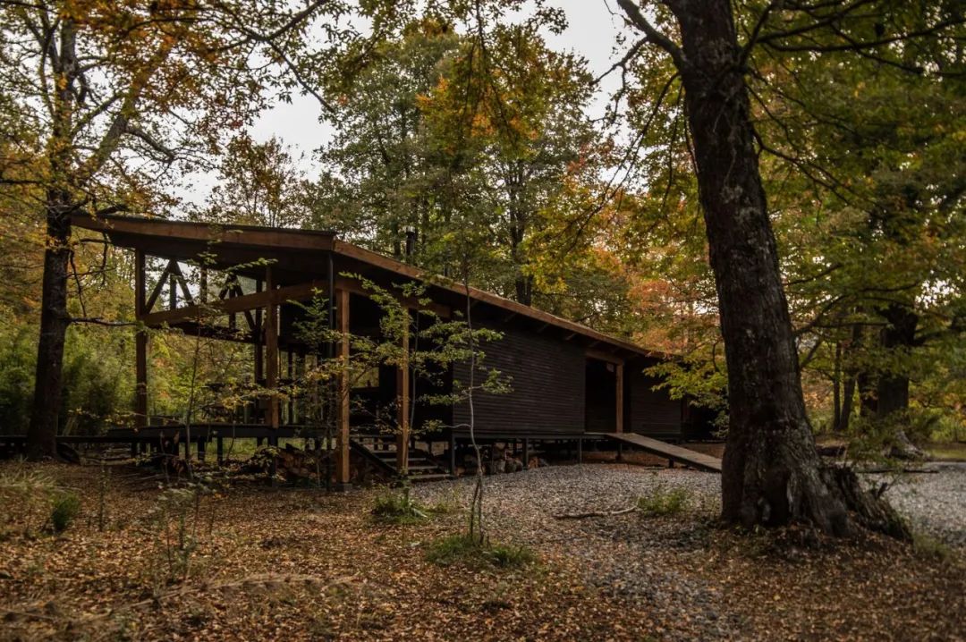 智利 118m²森林木屋丨勾勾手设计网-15