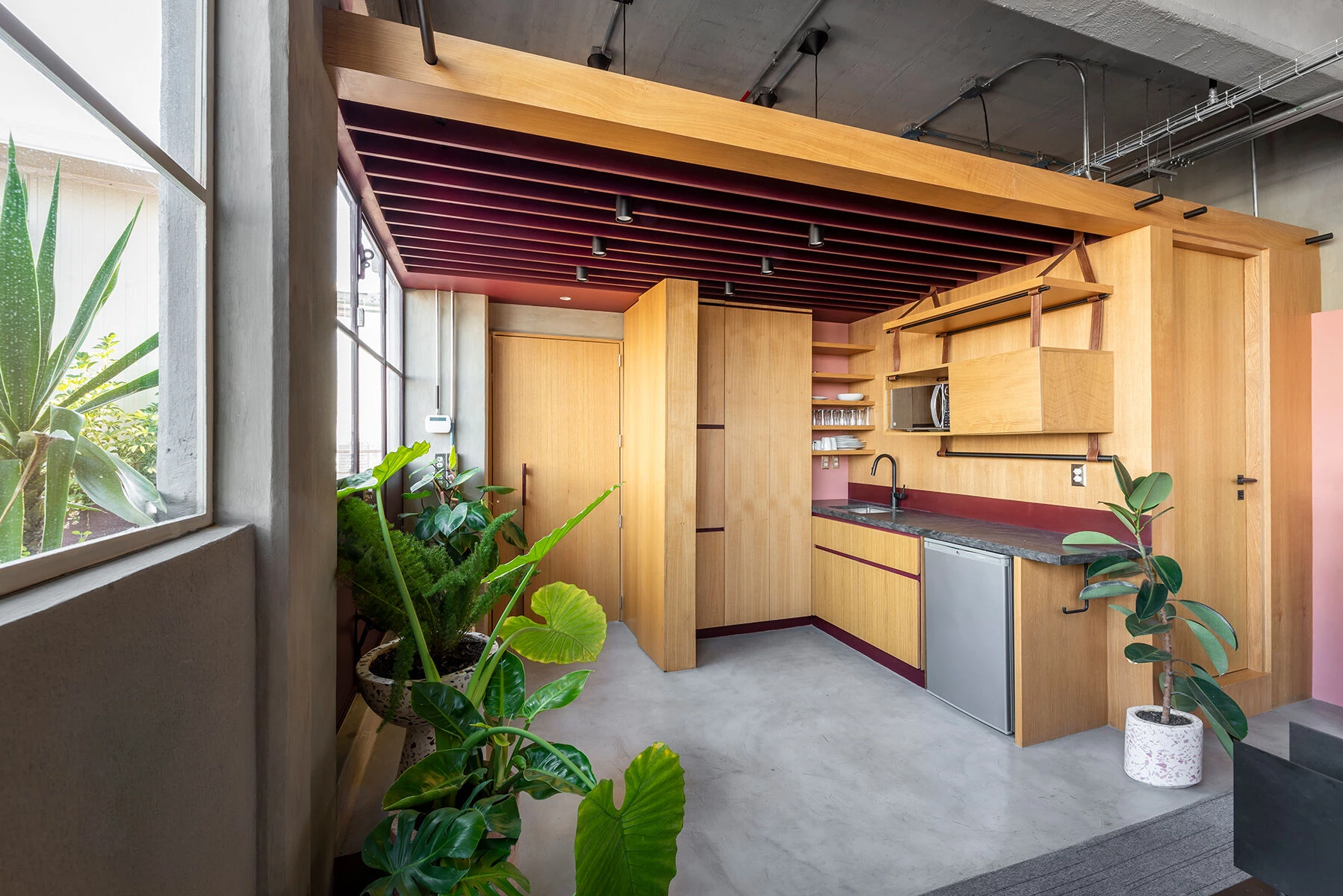 墨西哥城繁忙大道上的空中办公室改造-56