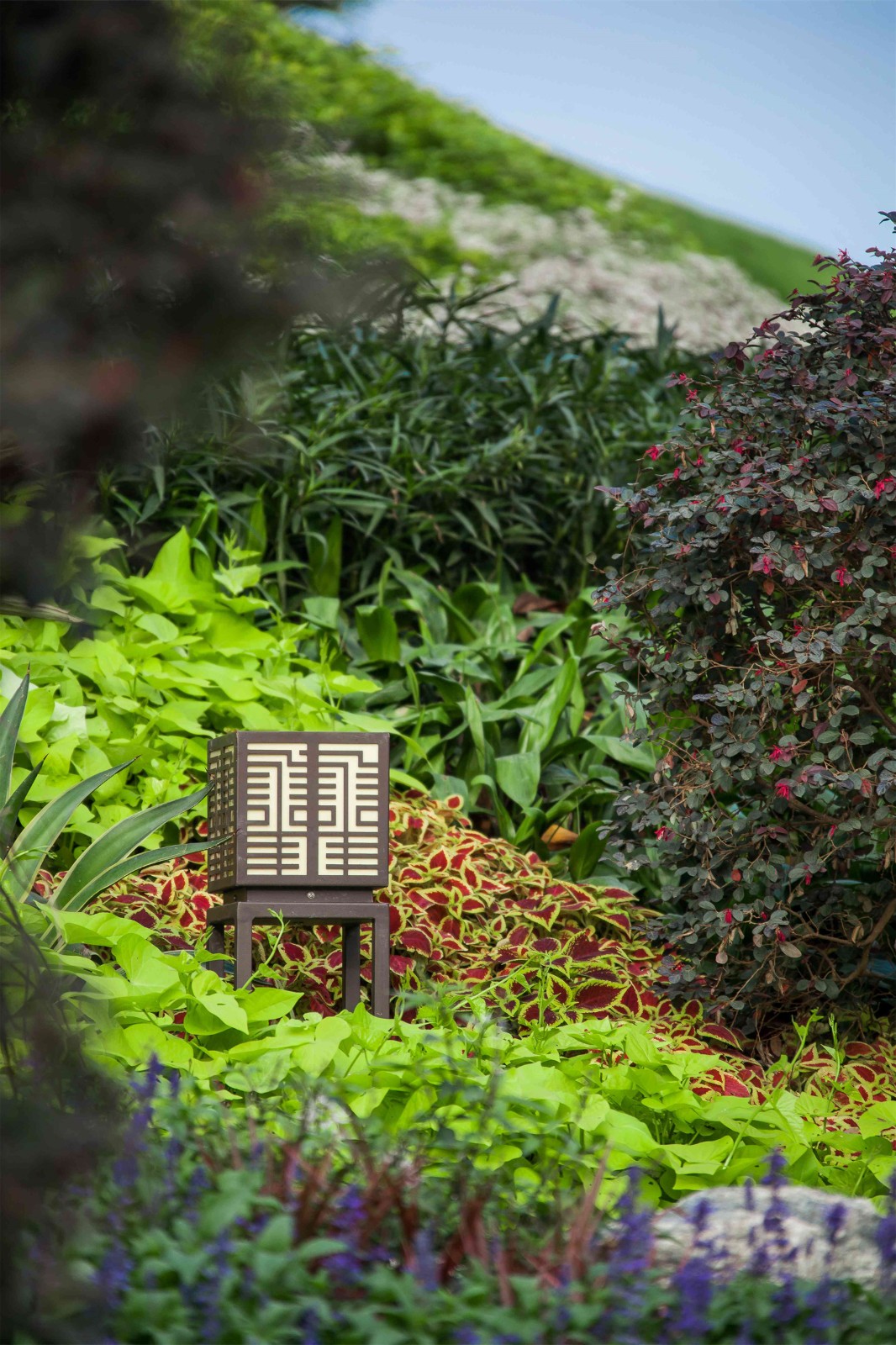 中山金色年华项目住宅景观丨中国中山-10