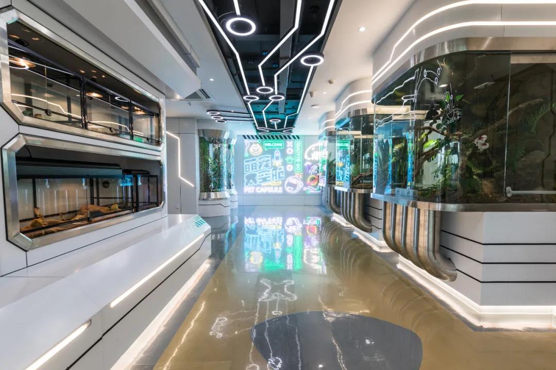 极宠家丨中国南京丨未本空间团队-61