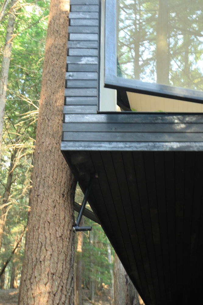 森林中的周末建筑奇迹-43