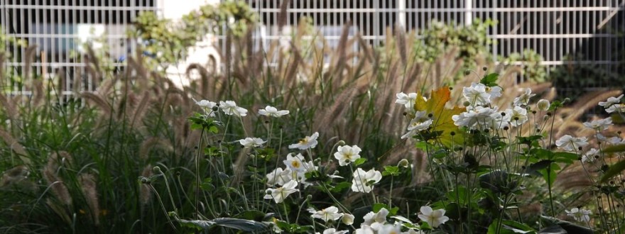 ATOS - Eindhoven Airport - Grasveld Tuin- en Landschapsarchitecten-27