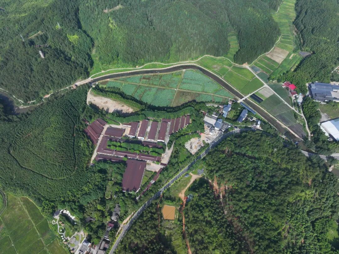 中铁上海院工程总承包的福建闽台融合药用植物园示范基地（一期）项目开工建设-12