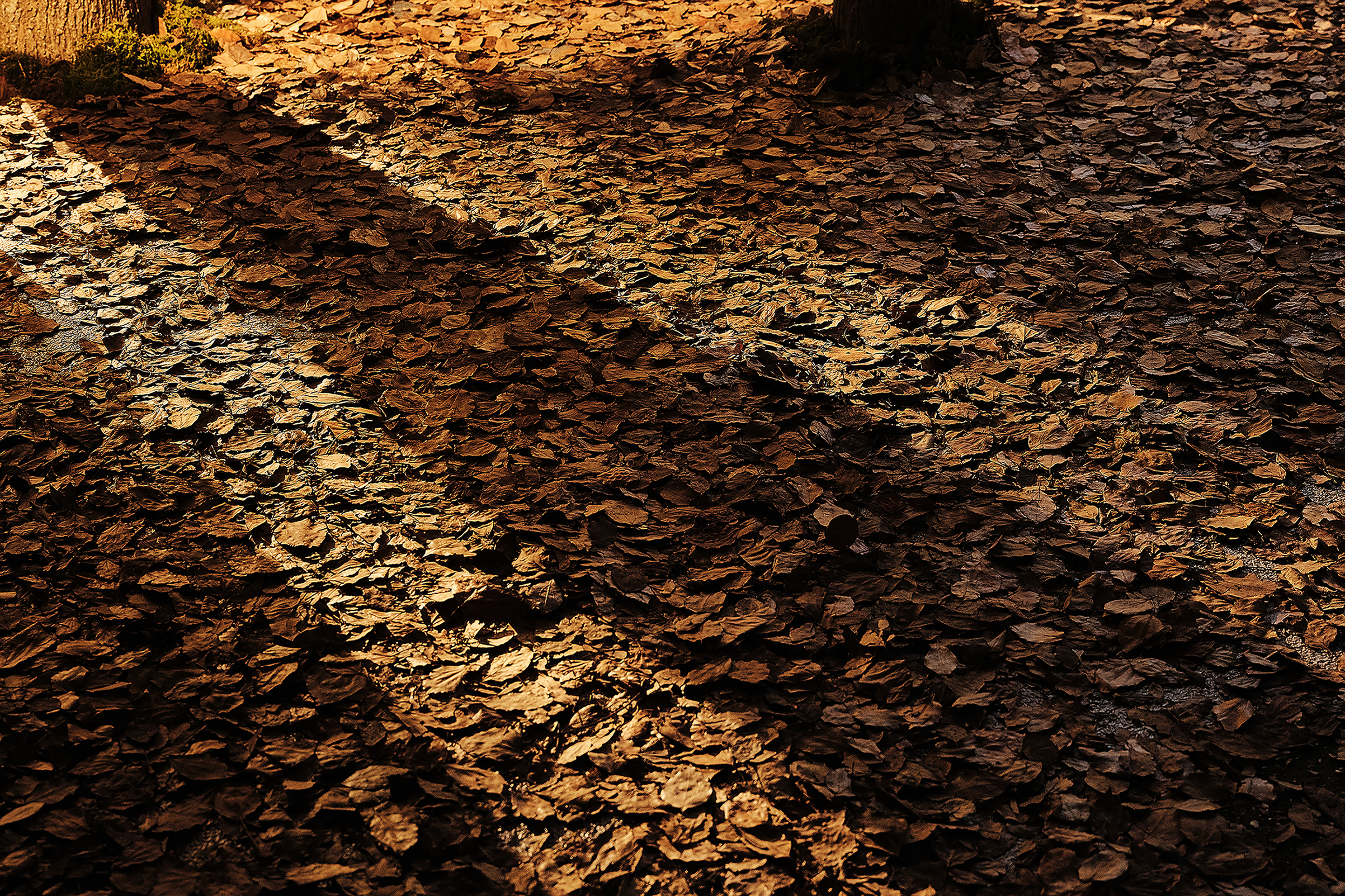 Der1863 品牌馆丨中国上海丨WEI 建筑与室内设计所-31