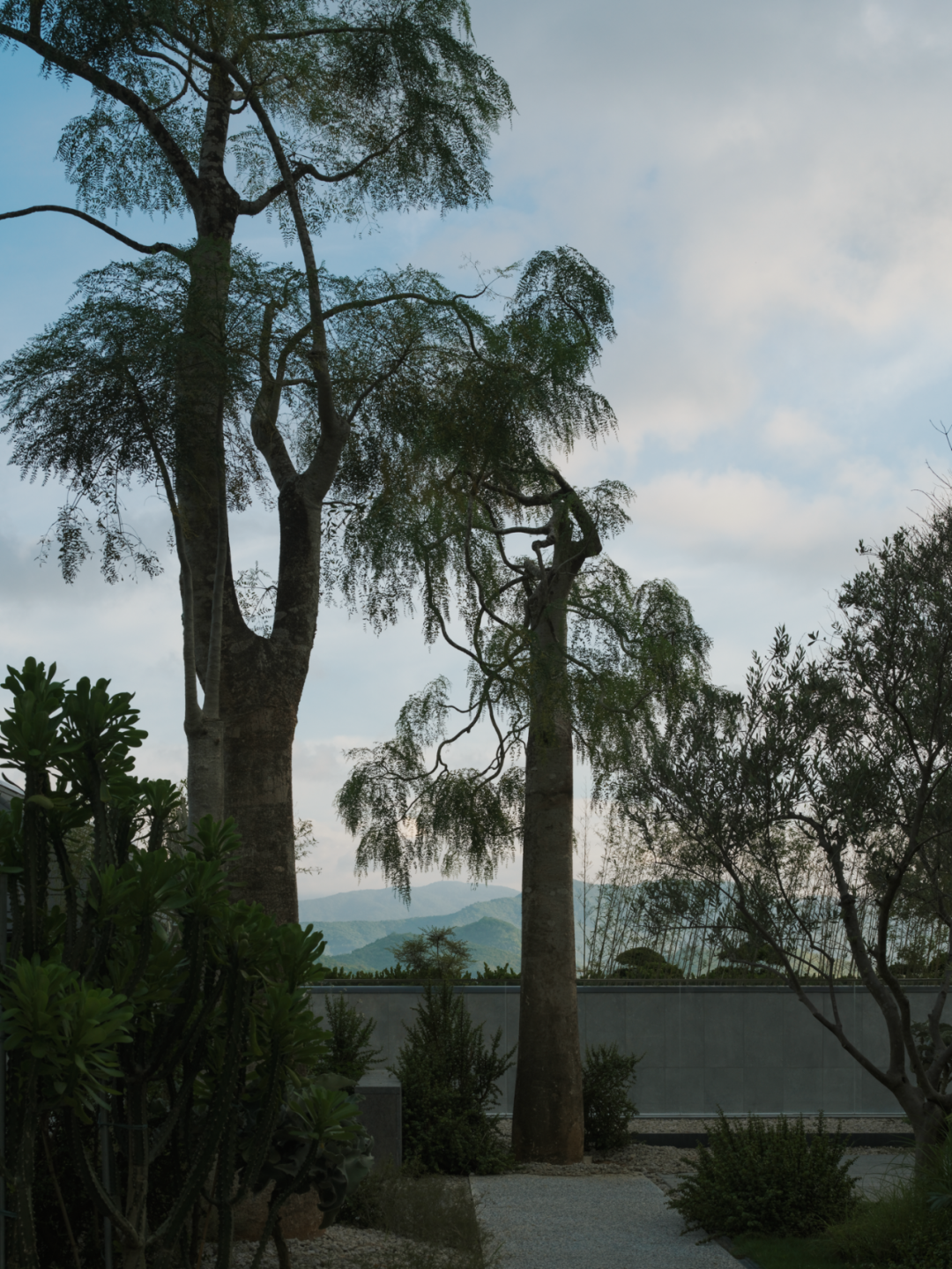 山岚褶皱处的寂静生长|阿那亚三亚景观秘境诗学-246
