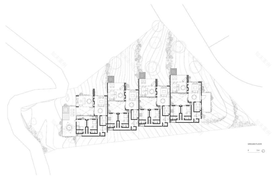 蕨类植物丨墨西哥丨Taller Hector Barroso-23