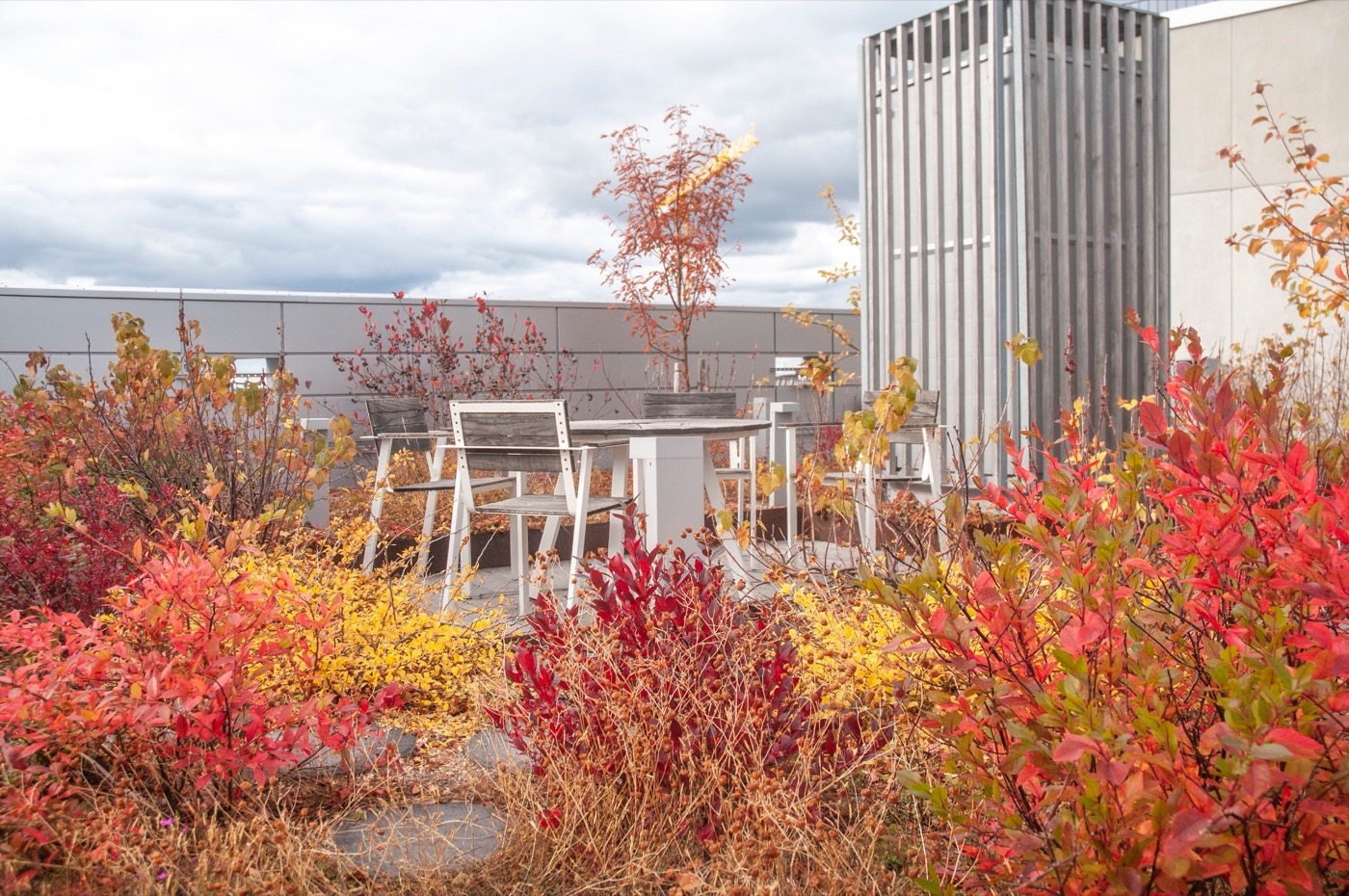 芬兰赫尔辛基绿色住宅区的生态设计探索-55