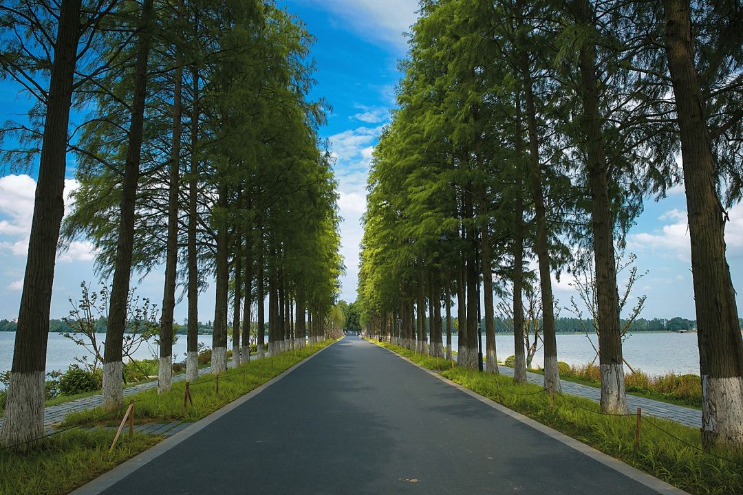 盘龙城遗址博物院新馆 | 现代演绎下的历史瑰宝-74