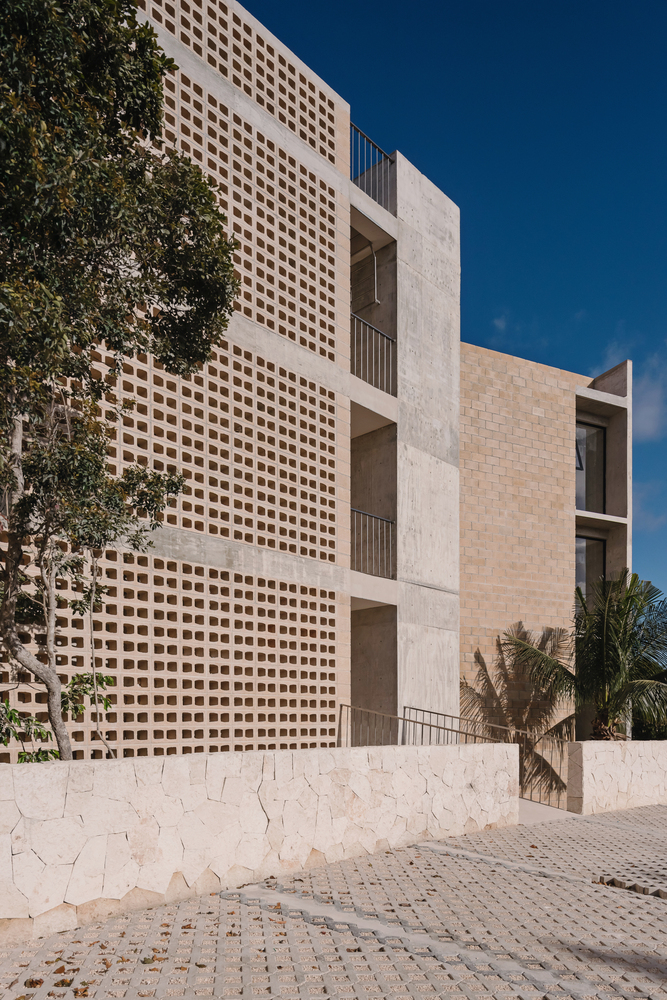 墨西哥 Kokonut 建筑丨Riparia-37