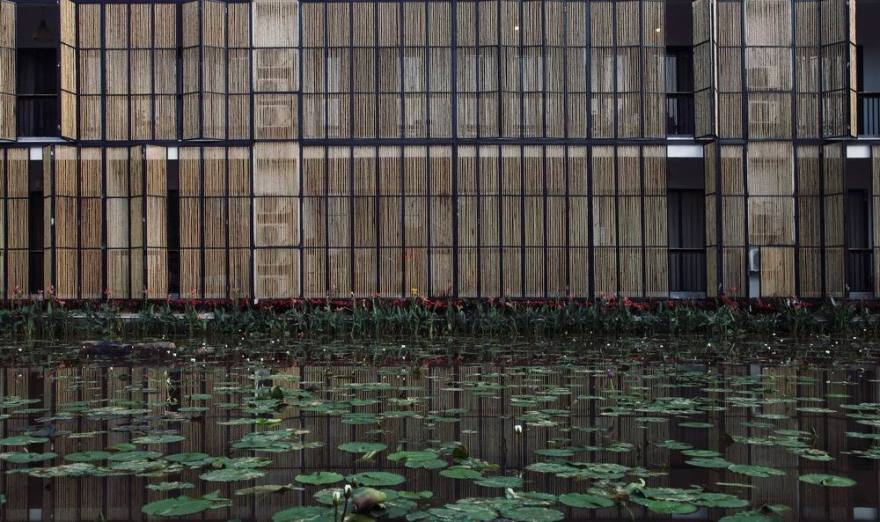 废弃小学的生态重生 | Heduli Paddy Hotel-5