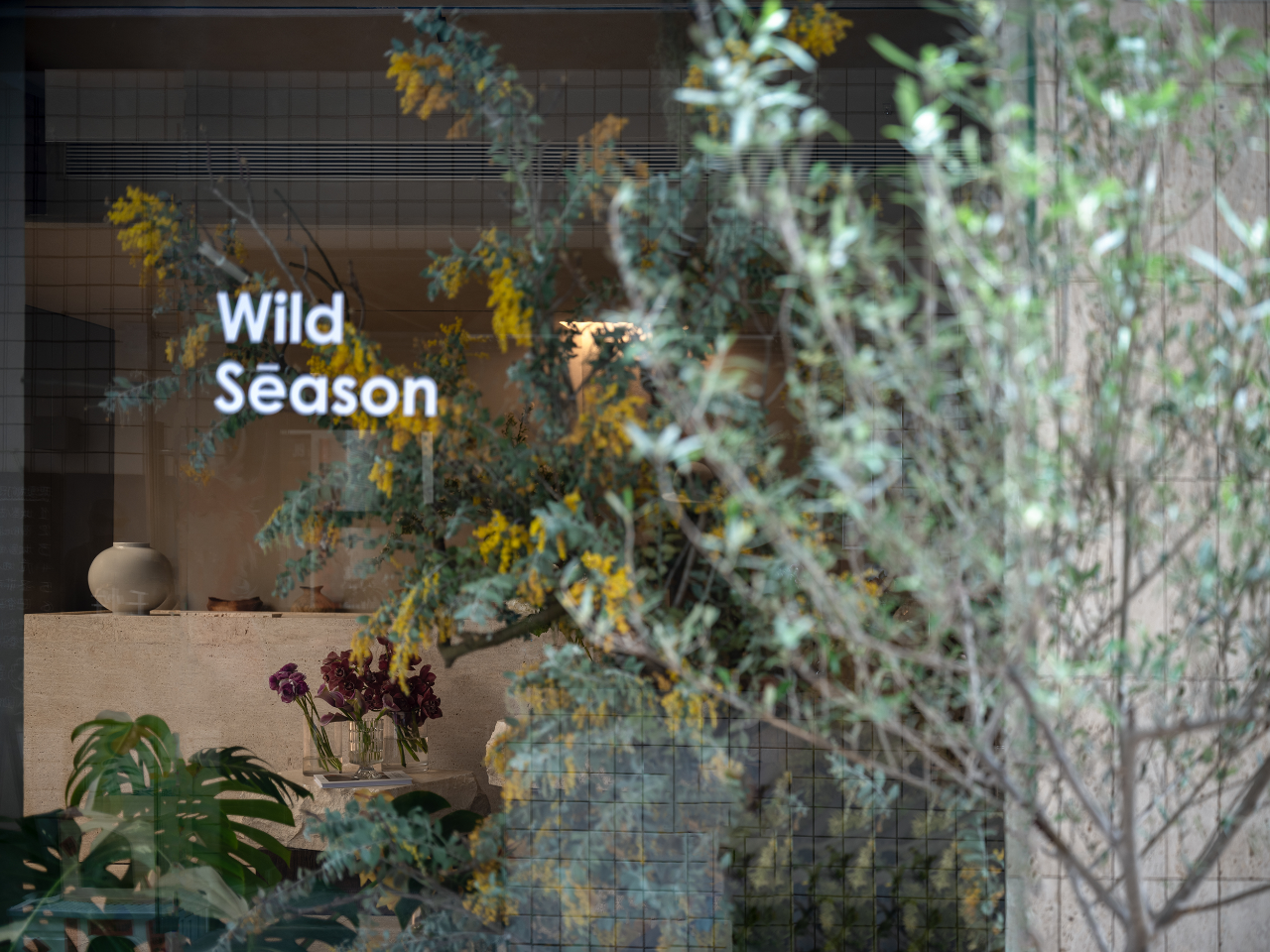 Wild Season · 深圳南头古城花店设计丨中国深圳丨蜚声设计-68