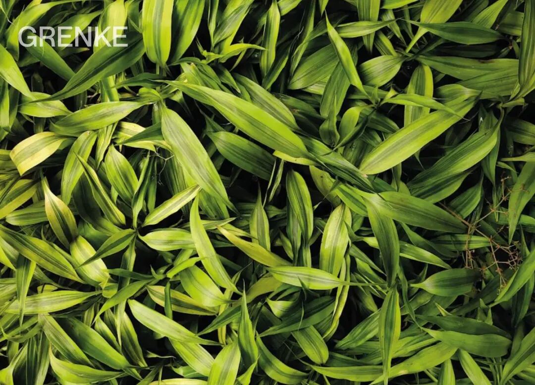 金融公司GRENKE米兰总部丨意大利米兰丨ilprisma-7