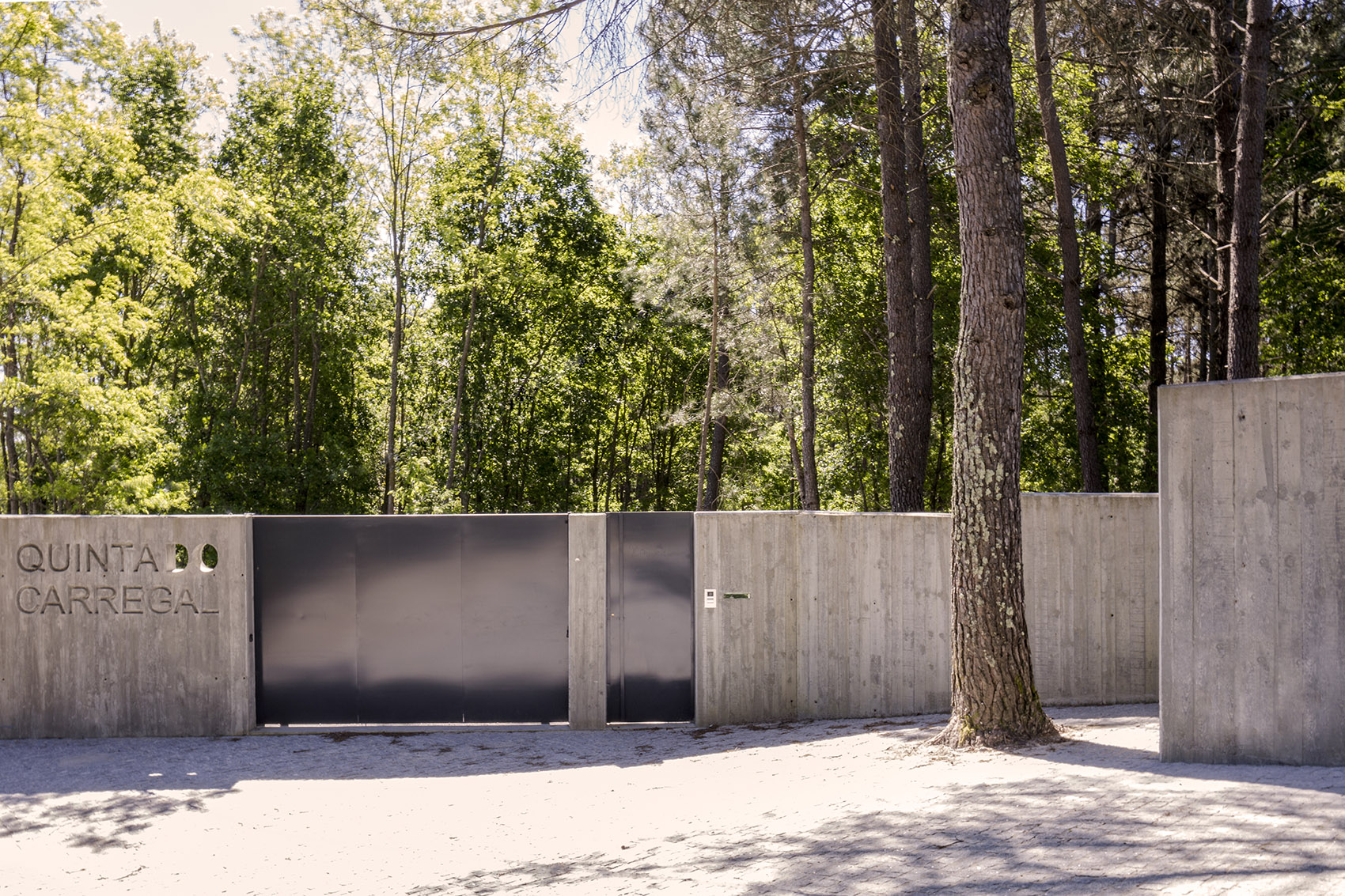 隐于自然的混凝土住宅,葡萄牙/ waataa-12