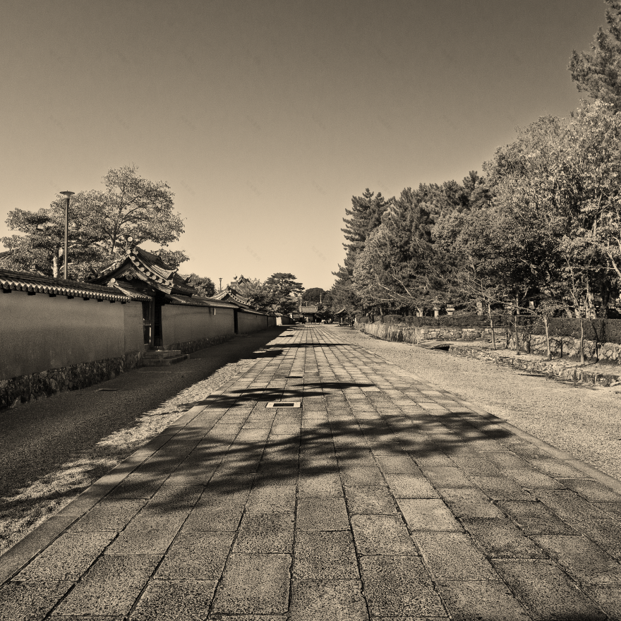 HORYUJI,最古老的木制建筑丨日本奈良丨HashiLaboratory-24