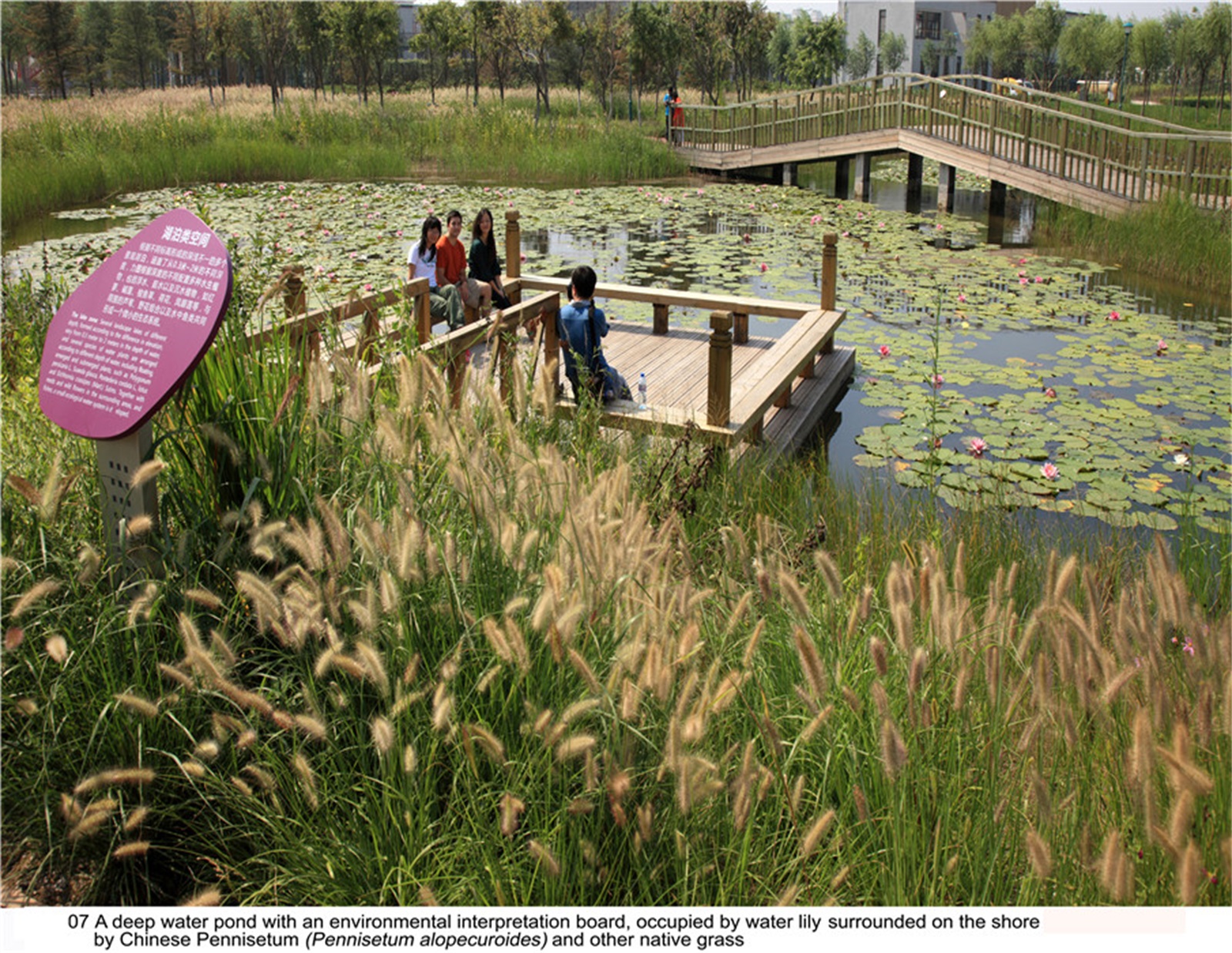 西安雁南公园（二期）丨中国西安丨土人设计（Turenscape）-190