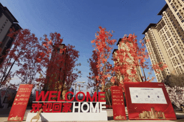 老街坊们，回家啦！-23