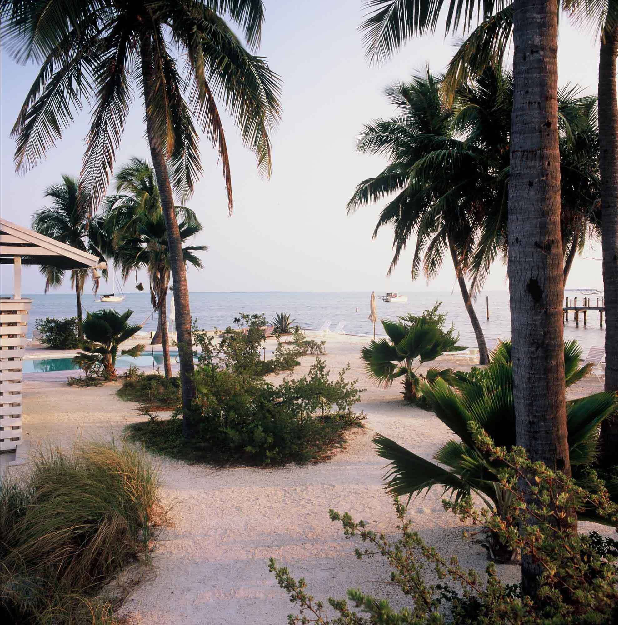 Casa Morada 度假酒店花园改造丨乌拉圭佛罗里达-7