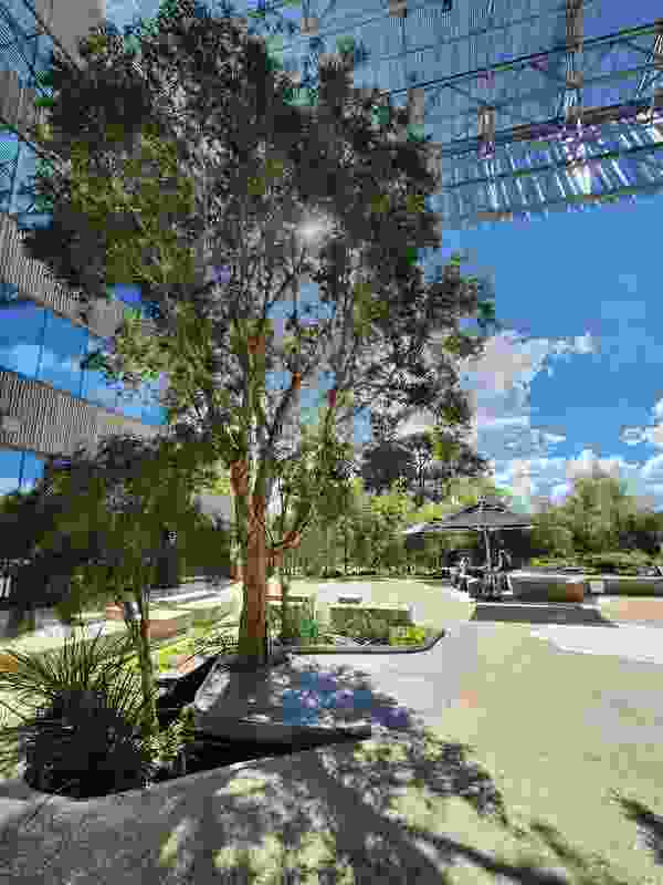 科廷大学设计与建筑环境学院项目丨澳大利亚珀斯丨Realm Studios,Wardle等-49