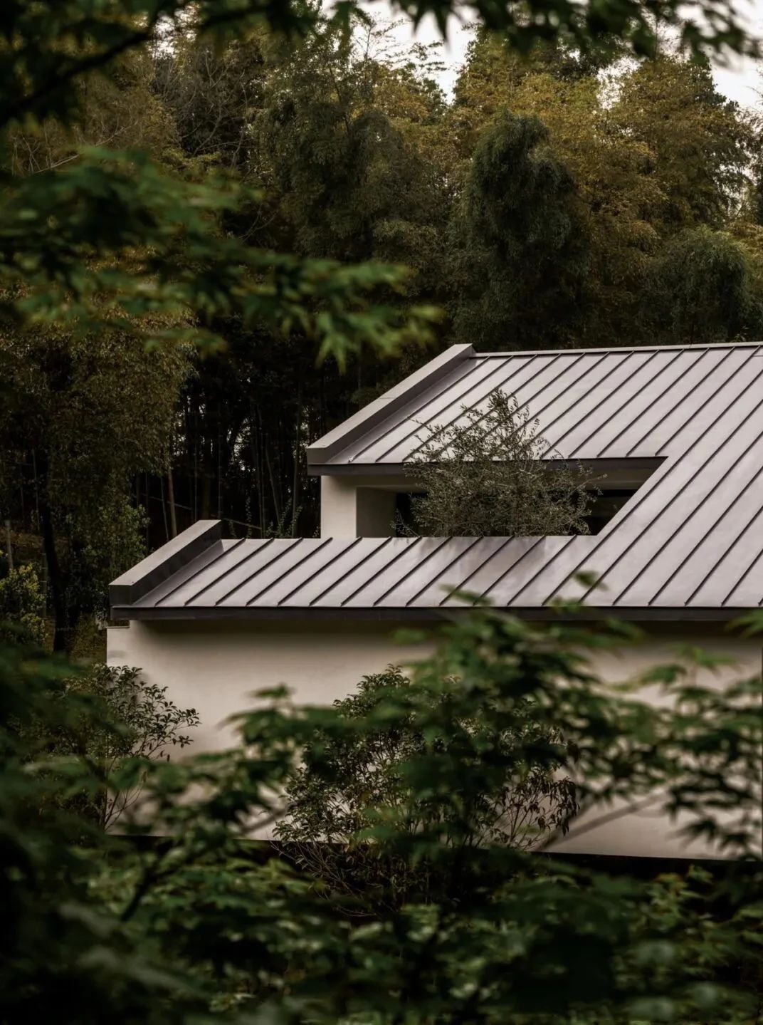 春山在望丨中国江苏丨尚壹扬设计-28