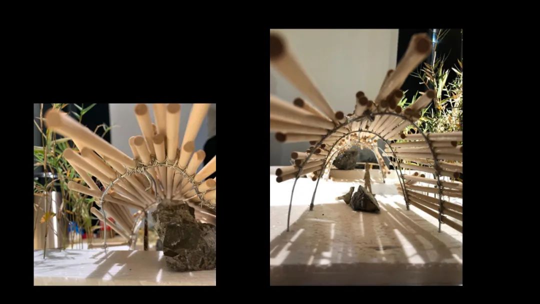 《青榭竹里》 | 即兴创作实践,重拾建筑温度-83