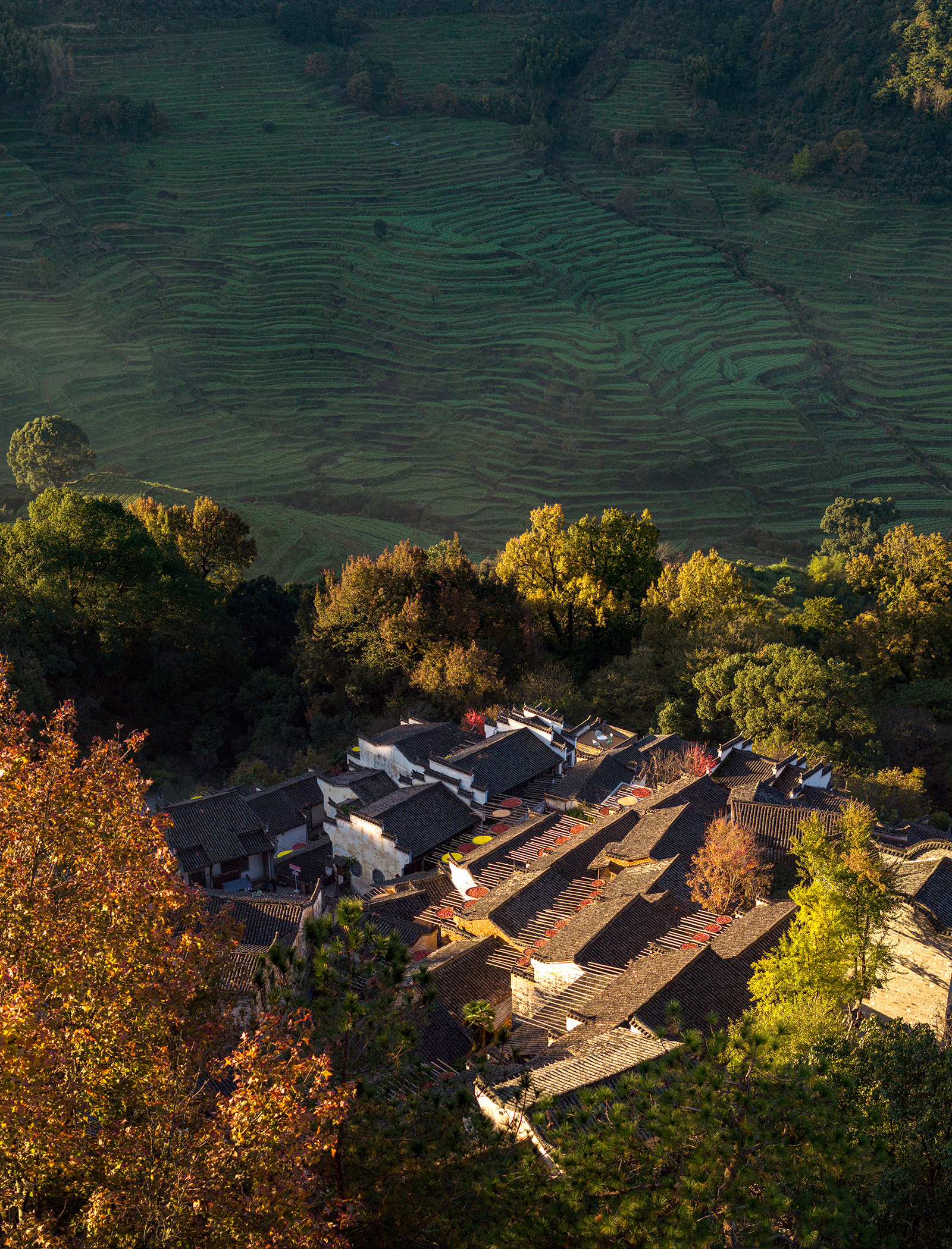 黄岭古村改造项目丨中国丨婺源乡村文化传媒有限公司-1