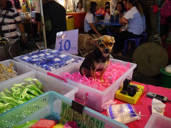 泰国寺庙及相关建筑丨泰国曼谷-11