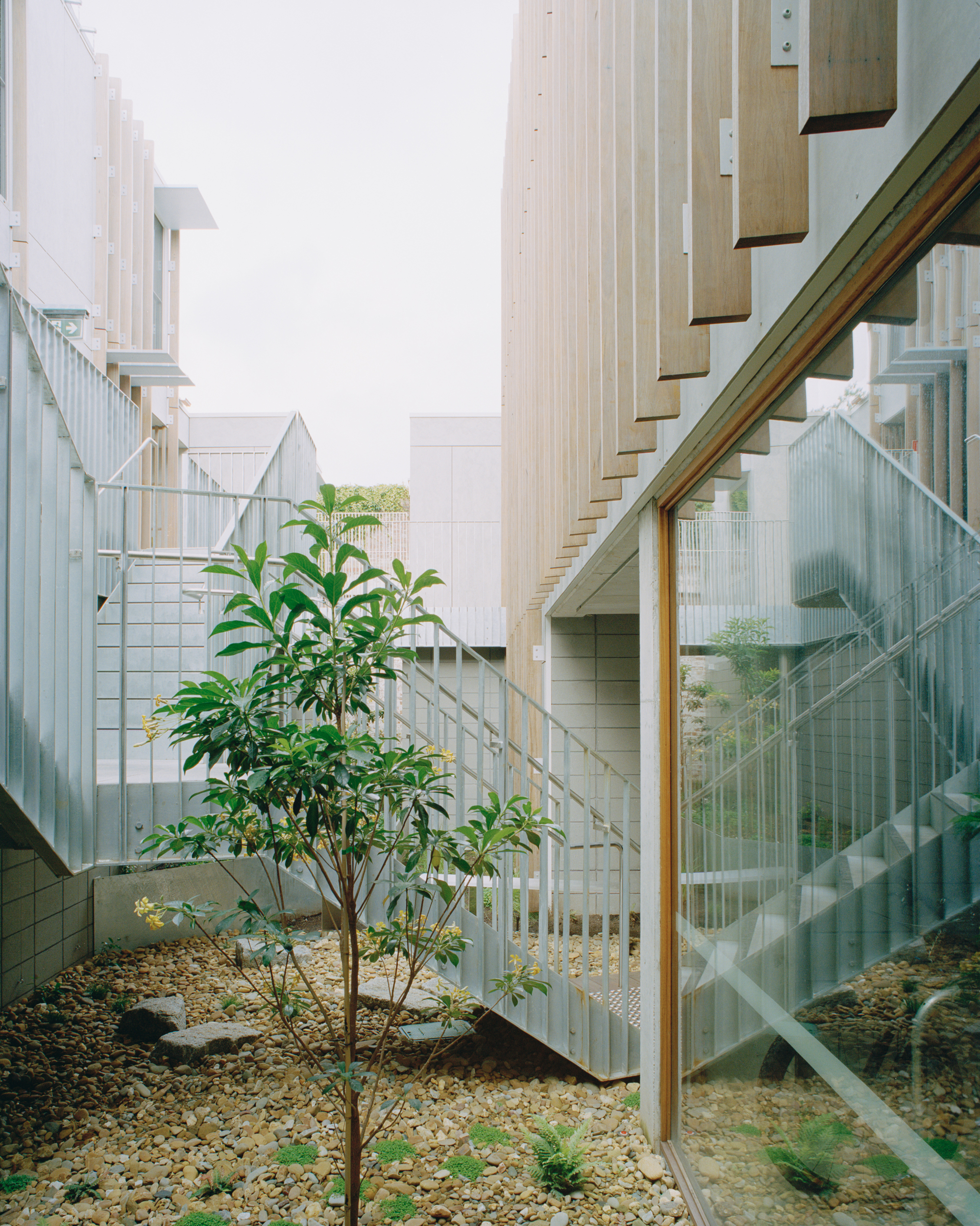 388 巴克利街公寓丨澳大利亚丨DREAMER,Breathe Architecture-15