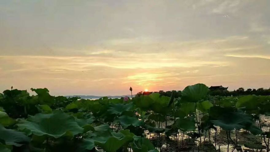 留白-- 汪拓的东山之梦-8