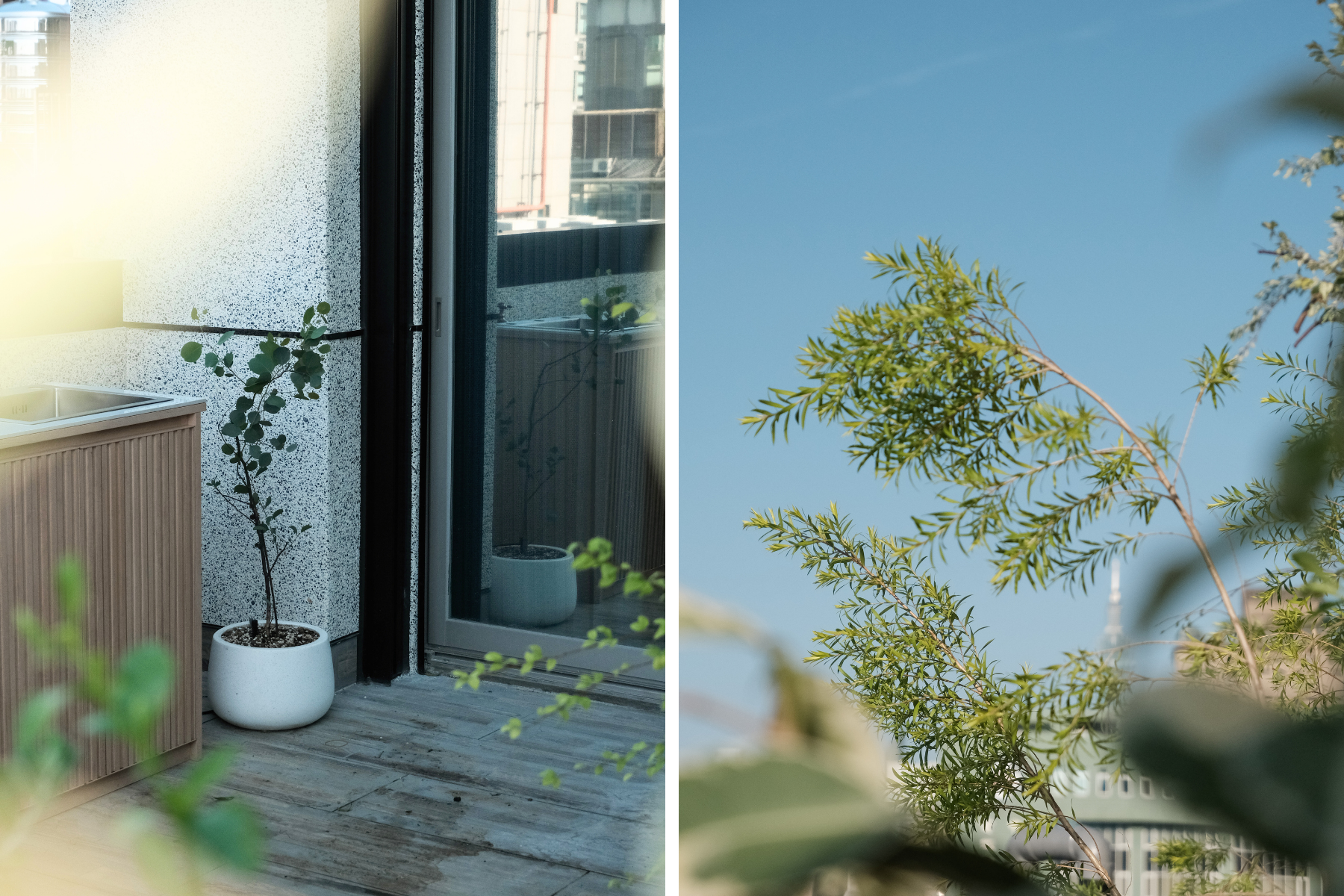 住宅案 | 大安區 | 陽台景觀設計-3