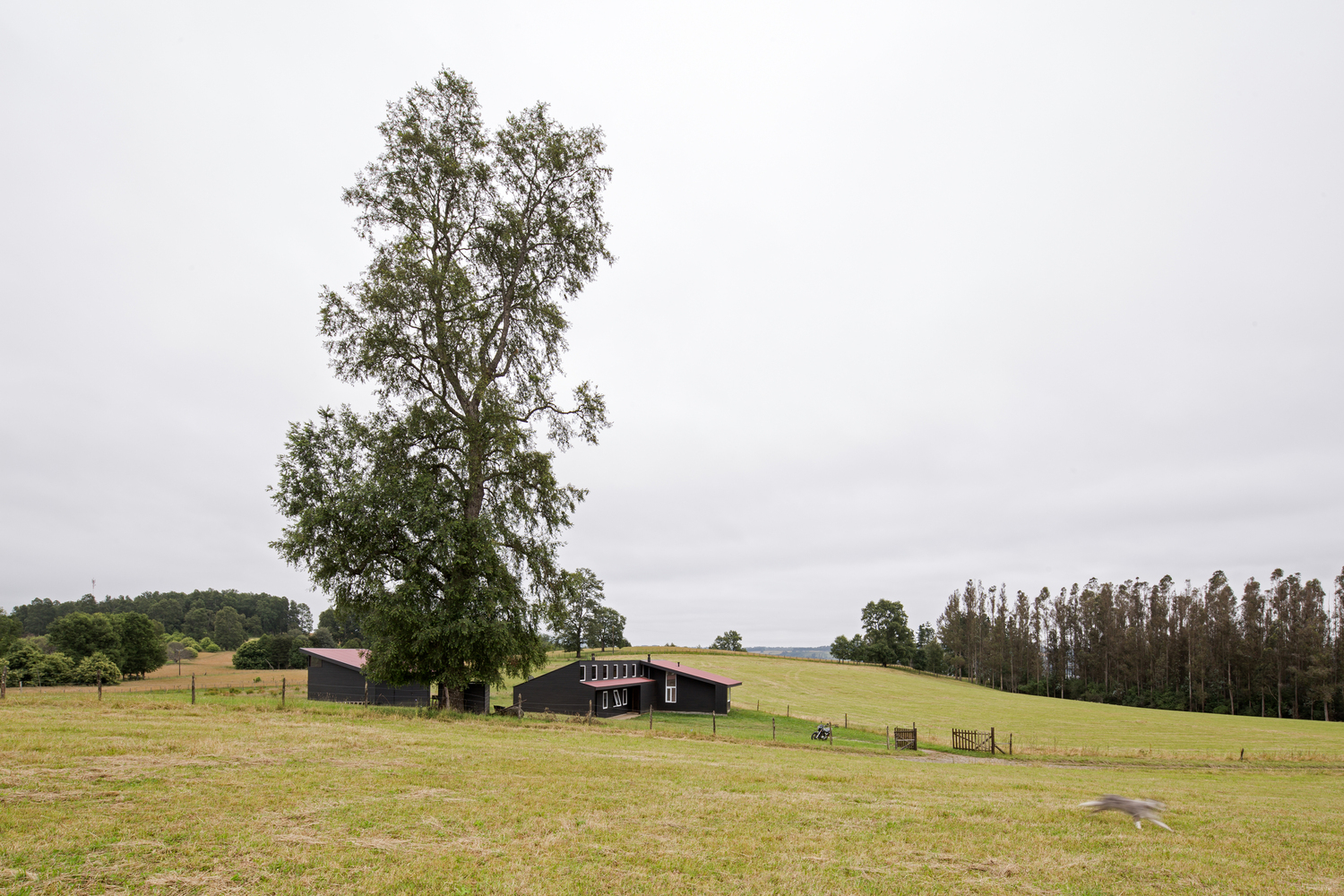 Casa Panguipulli 度假屋-6