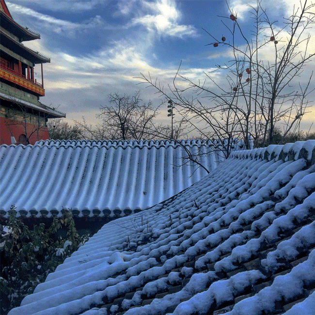 鼓楼7号院改造丨中国北京丨BUZZ庄子玉工作室-112